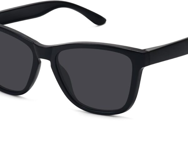 Polarized sunglasses (stylish, classic, retro designer style)