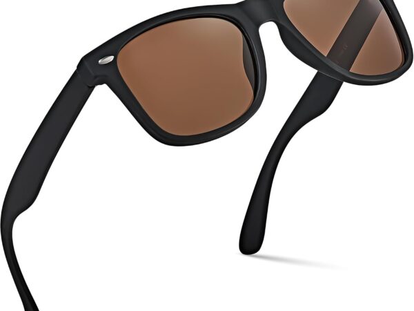 Polarized Sunglasses (classic UV-protective style)